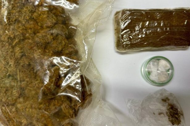 Operazione antidroga tra Nola e Saviano